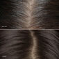 Brow, Root & Highlights Kit image number null