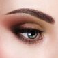 Passport Eye and Face Palette image number null