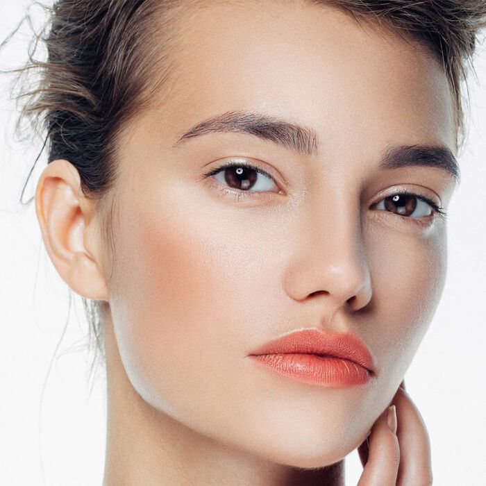 Airbrush Perfect Professional Bundle